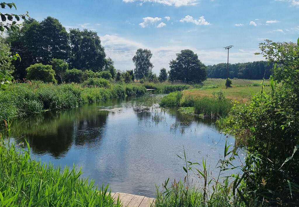Landschaftsbild eines ruhigen Flusses umgeben von Bäumen und Gras unter einem sonnigen Himmel