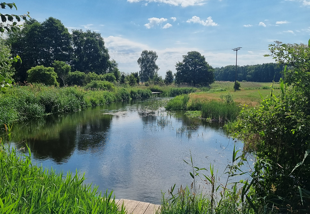 Landschaftsbild eines ruhigen Flusses umgeben von Bäumen und Gras unter einem sonnigen Himmel