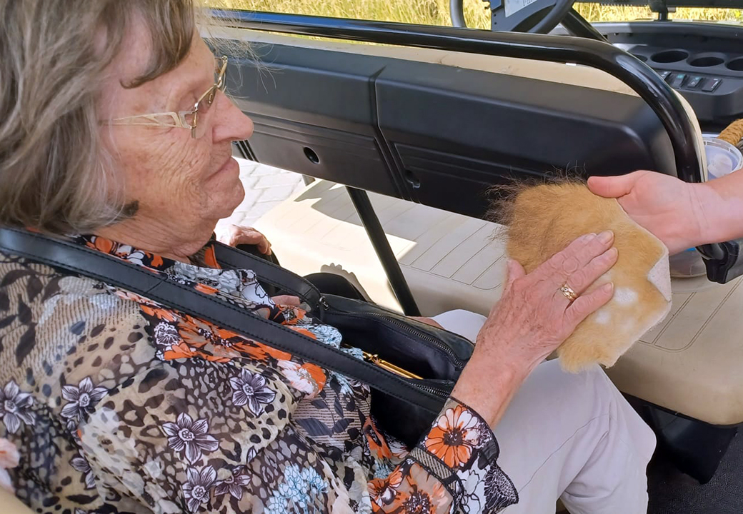 Mobil durch den Schweriner Zoo