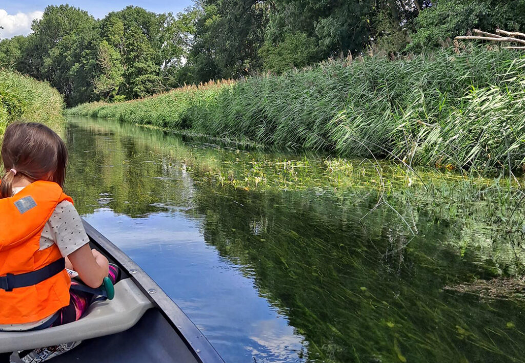 Ein Kind mit Schwimmweste sitzt in einem Kanu auf einem schmalen Fluss. Dichtes Schilf und B&auml;ume s&auml;umen die Wasserstra&szlig;e.