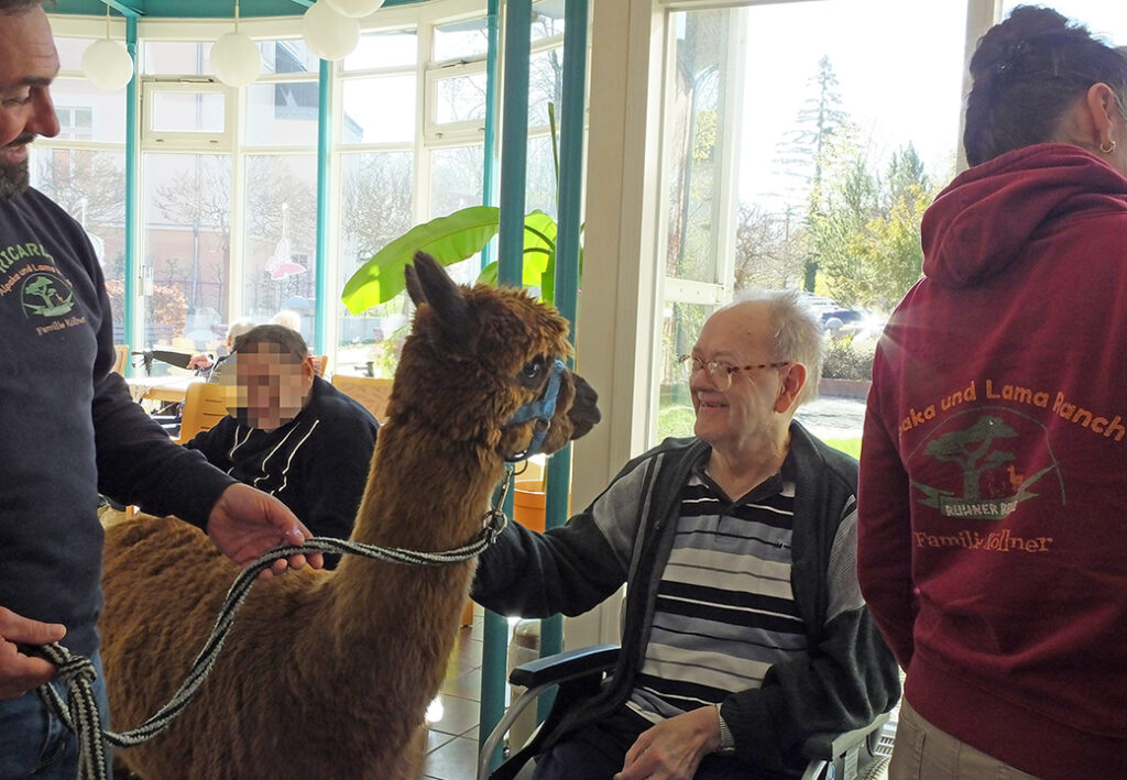 Älterer Mann sitzt in Rollstuhl und streichelt ein Lama.