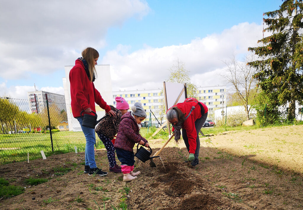 Personen pflanzen in einem Garten.