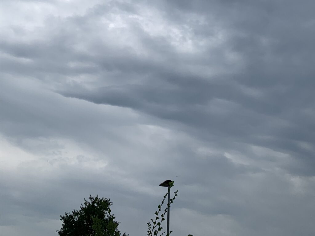 Himmel mit Wolken und Vogel auf Laterne
