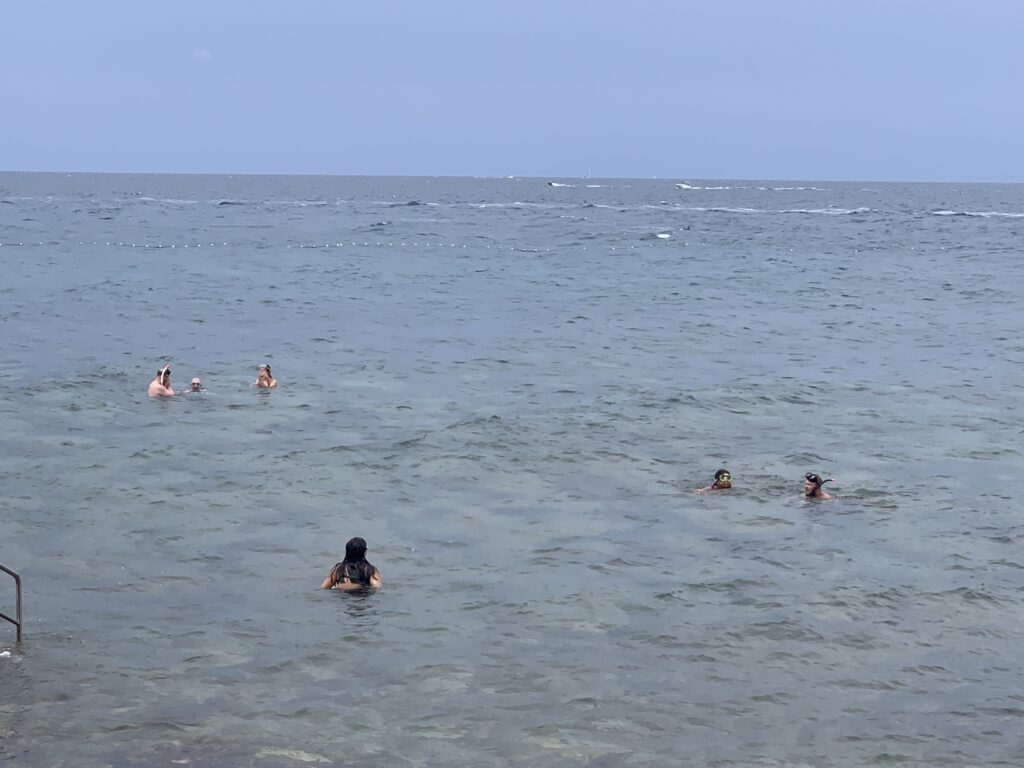 Mehrere Menschen schnorcheln im Meer.