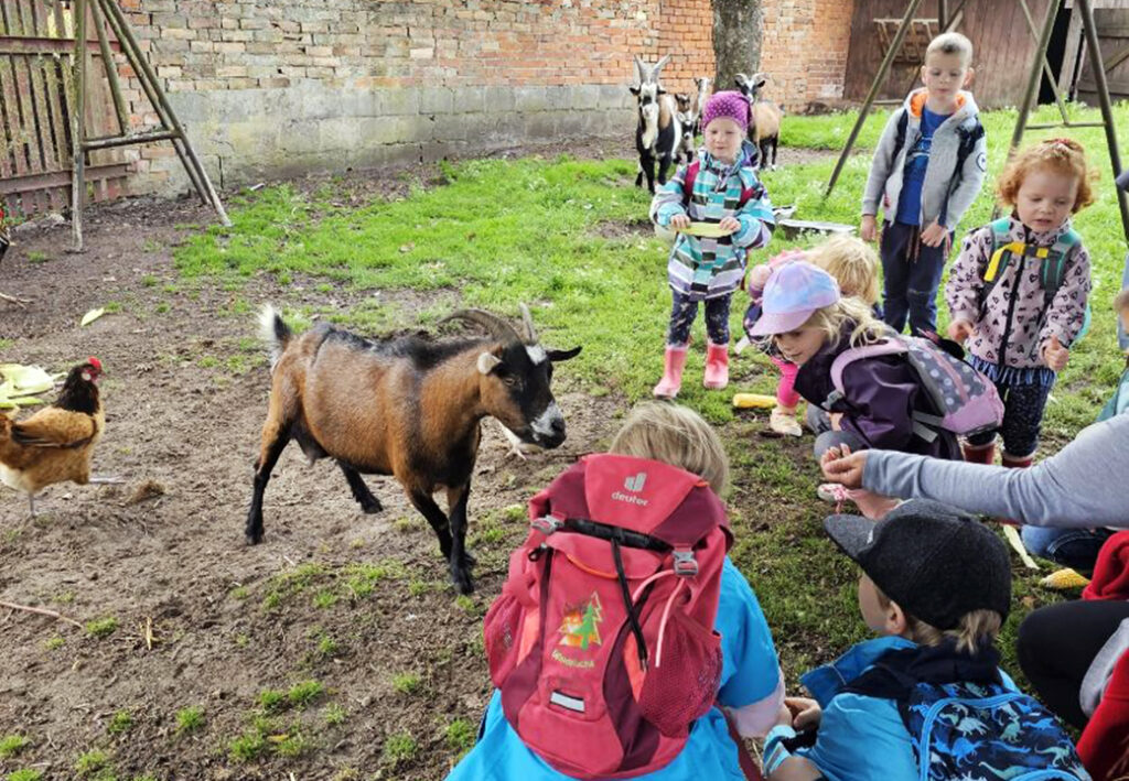 Kinder und Tiere auf einem Bauernhof