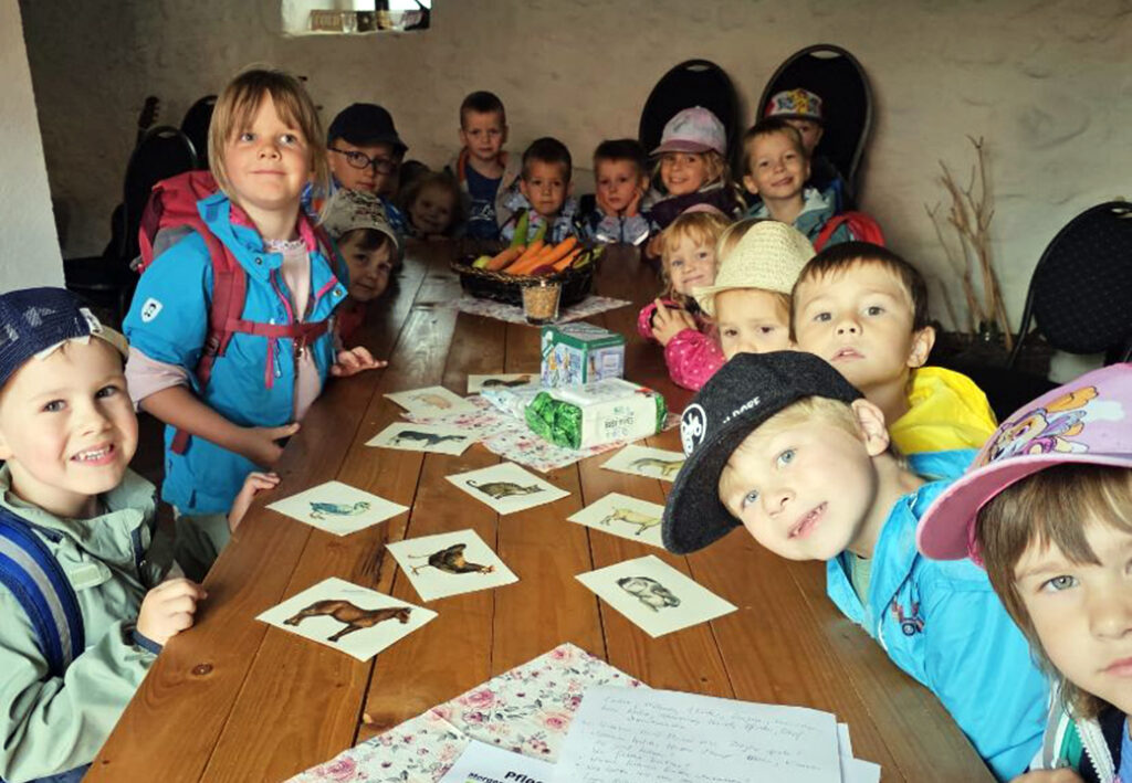 Kinder sitzen an einem Tisch mit Tierkarten.