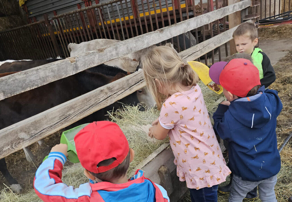 Kinder f&uuml;ttern K&uuml;he auf einem Bauernhof