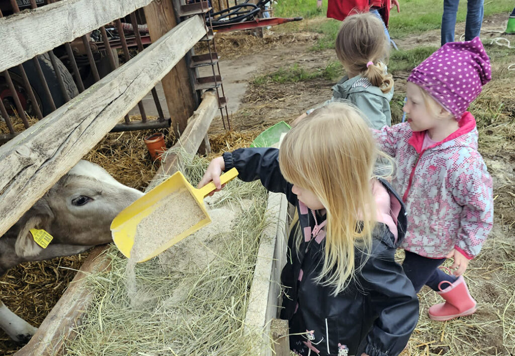 Drei Kinder f&uuml;ttern ein Kalb auf einem Bauernhof