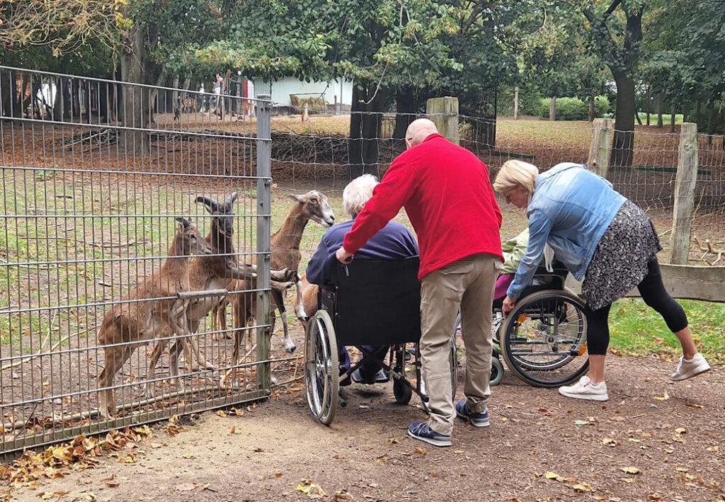 Personen im Rollstuhl f&uuml;ttern Tiere im Gehege