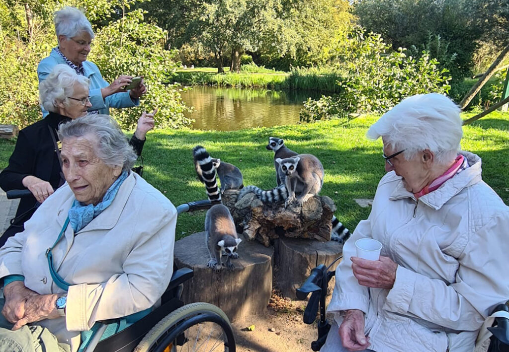 Vier &auml;ltere Frauen mit Kattas im Freien