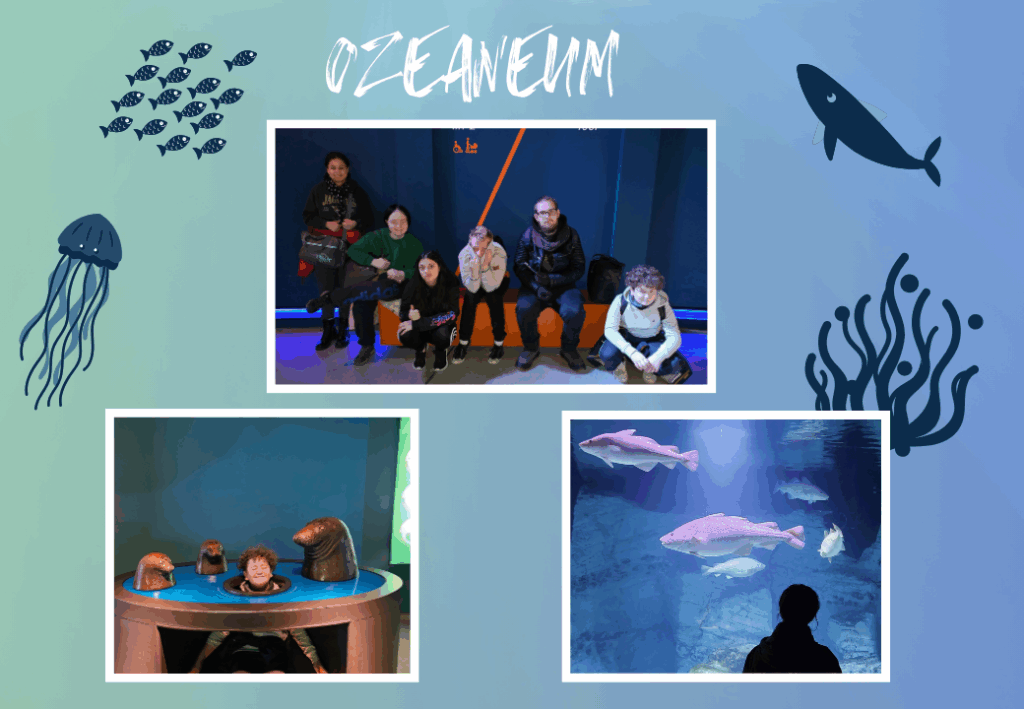 Collage von Menschen im Ozeaneum mit Meeresmotiven