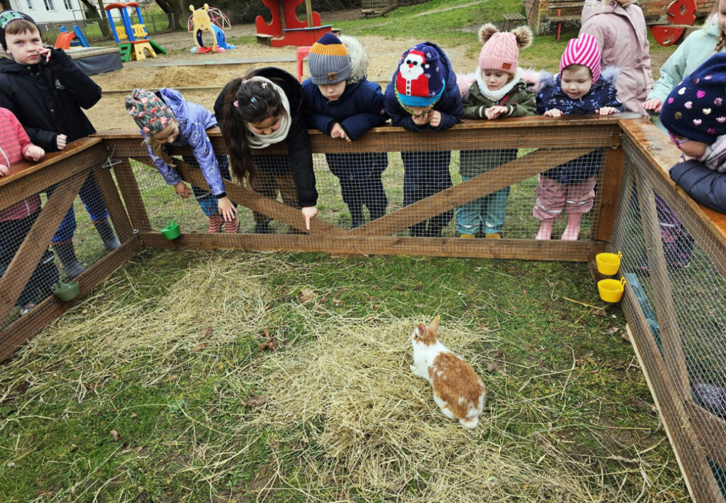 Kinder betrachten ein Kaninchen in einem Gehege.