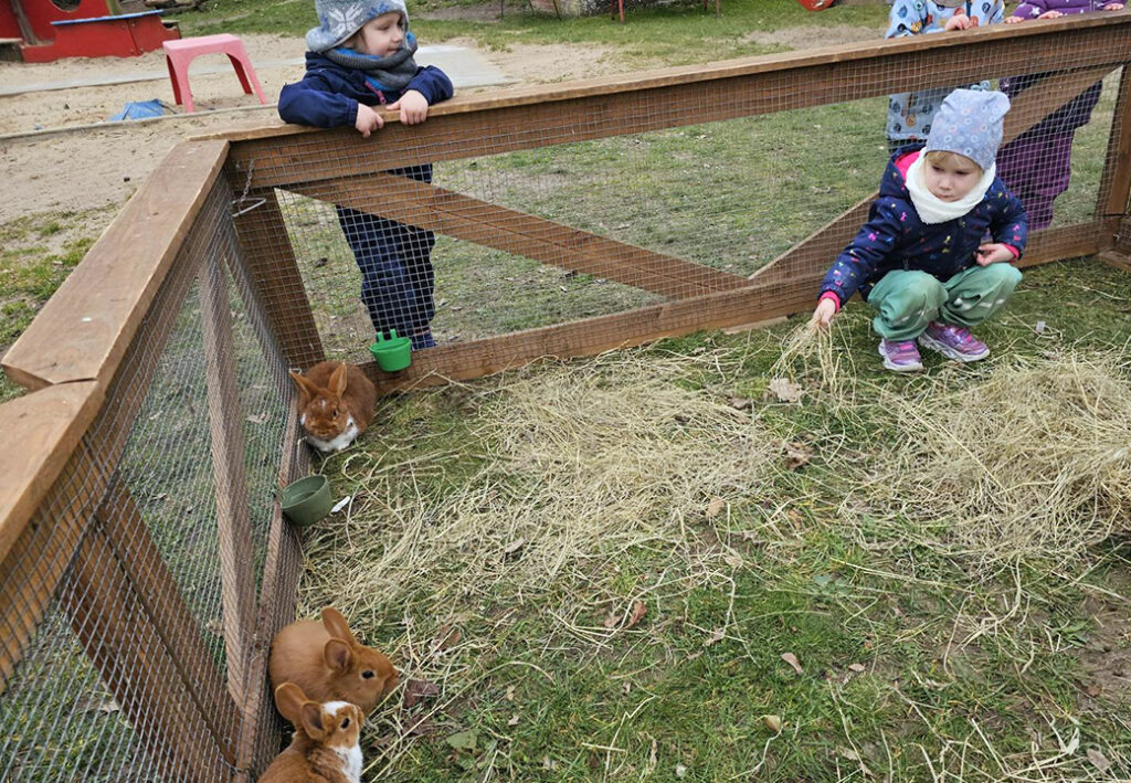 Kinder f&uuml;ttern Kaninchen in einem Gehege