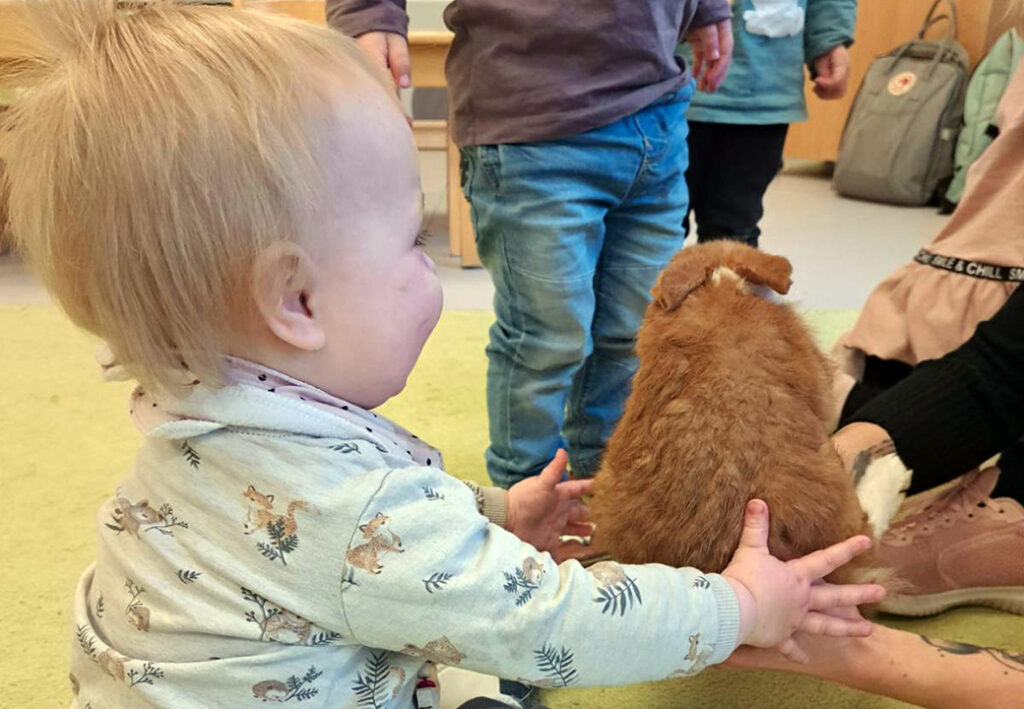 Ein Kleinkind streichelt ein Tier in einer Gruppe von Kindern.