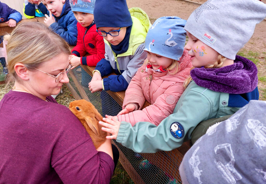 Kindergruppe streichelt ein braunes Kaninchen