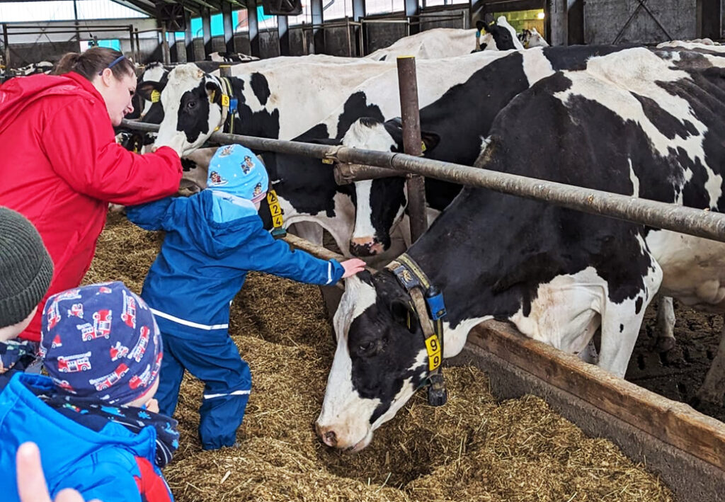Kinder streicheln K&uuml;he in einem Stall