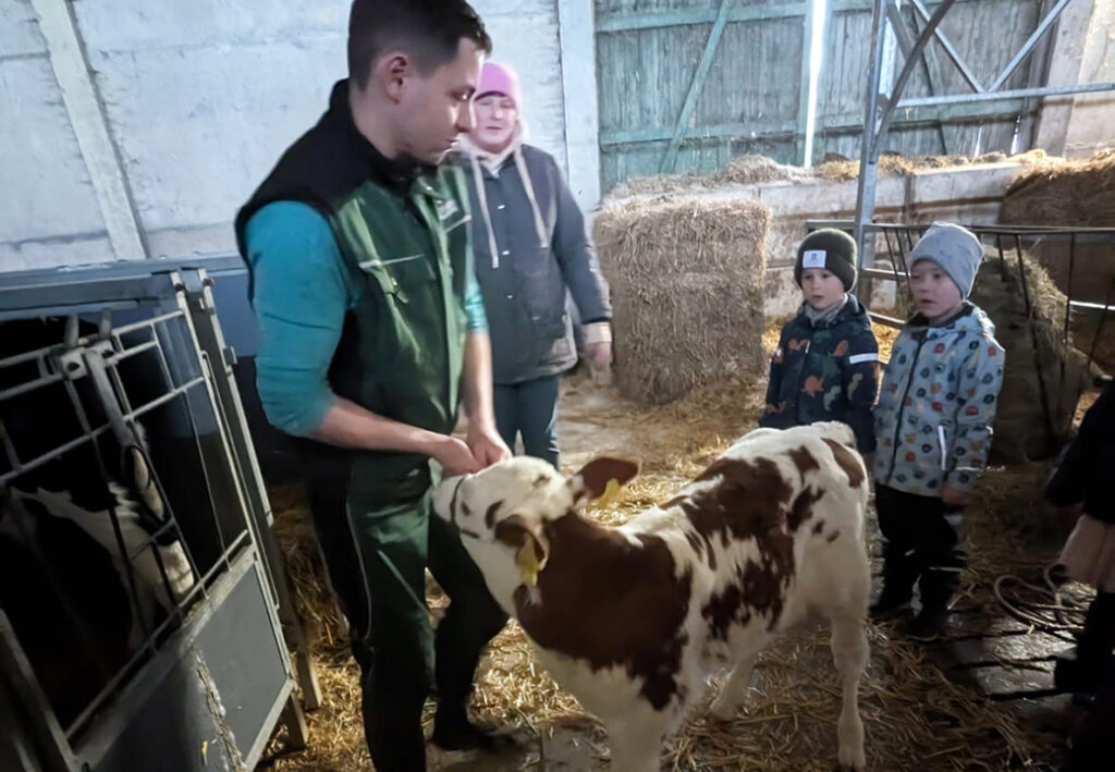 Personen in einem Stall mit einem Kalb