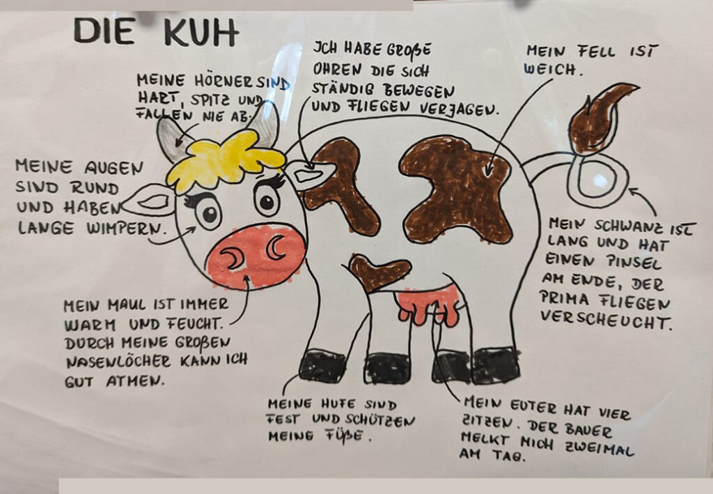 Illustration einer Kuh mit Beschriftungen