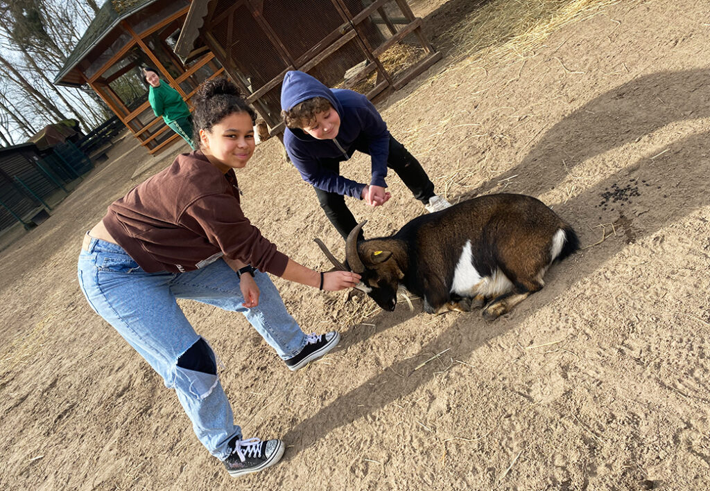 Zwei Personen streicheln eine sitzende Ziege auf einem Bauernhof.