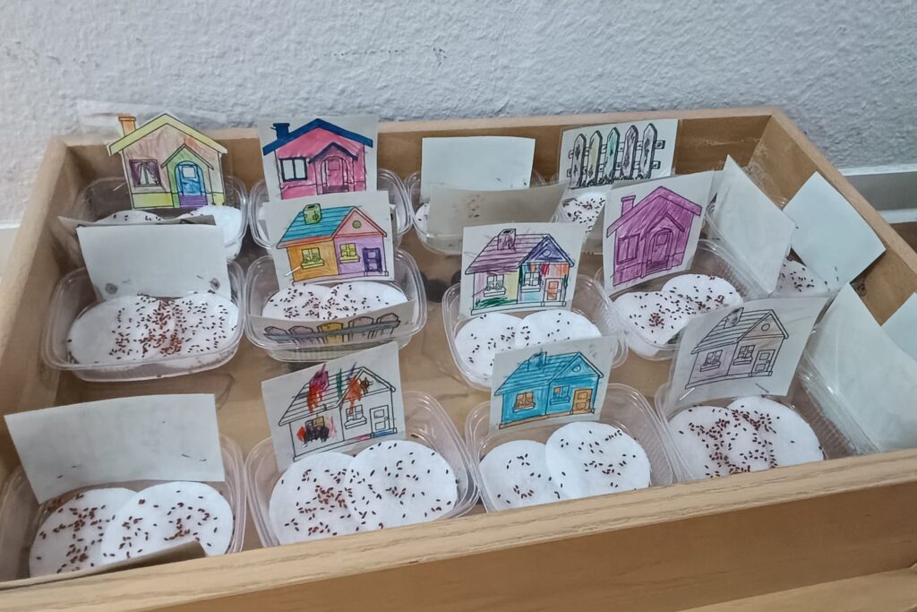 Ein Tablett mit mehreren kleinen Beh&auml;ltern, in denen bemalte Papierh&auml;uschen vor Wattepads mit Samen stehen.