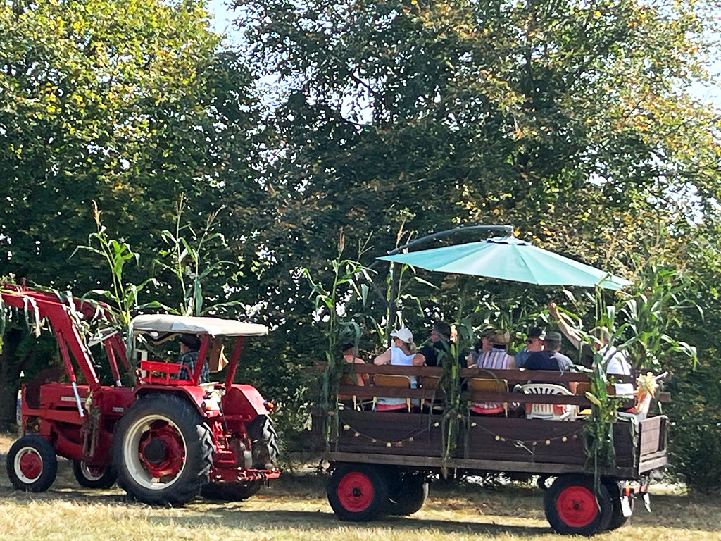 Ein roter Traktor zieht einen Anhänger mit Menschen durch eine ländliche Gegend.