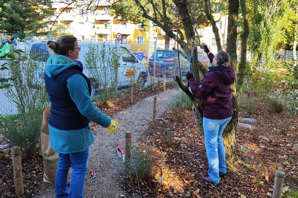Zwei Frauen schneiden einen Baum in einem Garten.