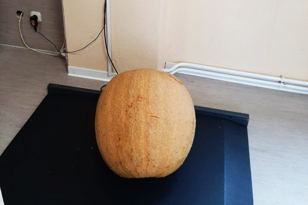 Ein gro&szlig;er, runder K&uuml;rbis auf einer schwarzen Plattform in einem Innenraum.