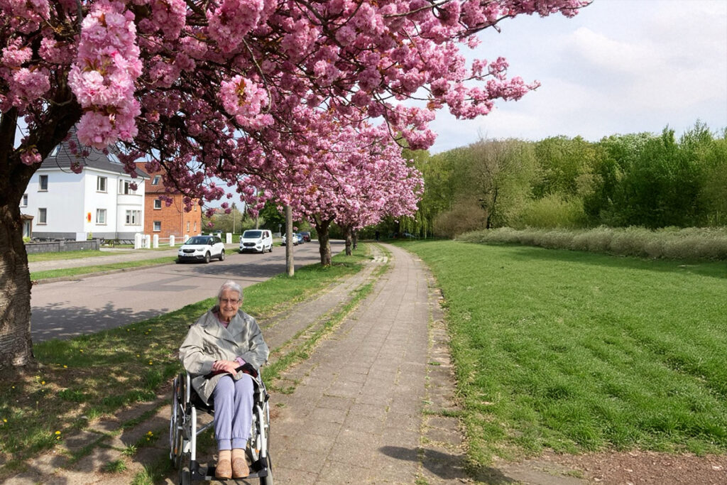 Eine ältere Person in einem Rollstuhl auf einem Gehweg neben blühenden Kirschbäumen.