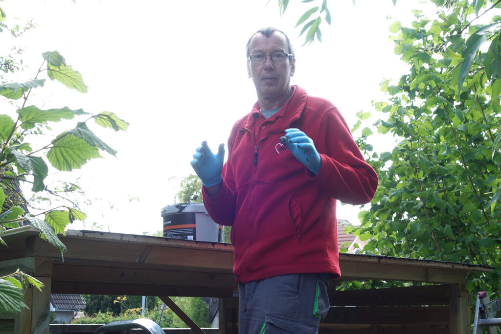 Person im roten Pullover mit blauen Handschuhen in einem Garten