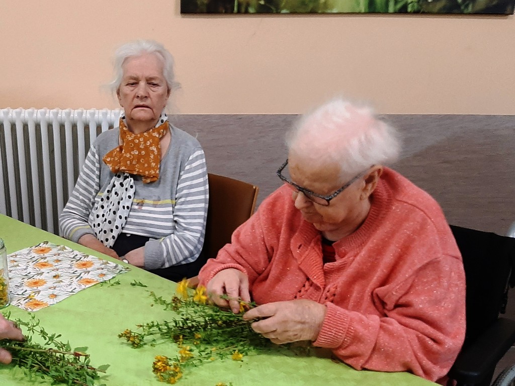 Zwei ältere Frauen an einem Tisch mit Pflanzen