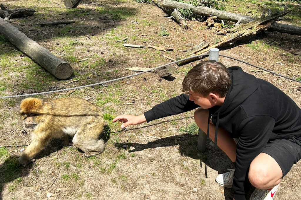 Eine Person in einem schwarzen Hoodie kniet auf dem Boden und streckt die Hand nach einem Affen aus.