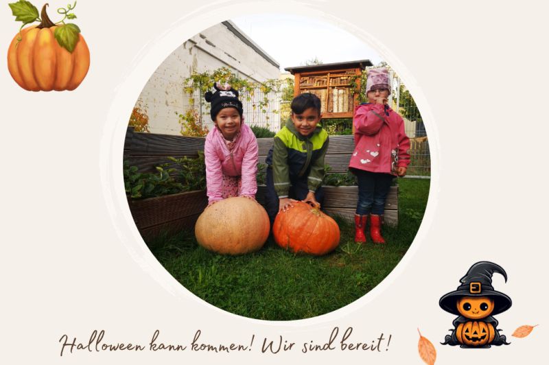 Drei Kinder posieren mit großen Kürbissen im Freien.
