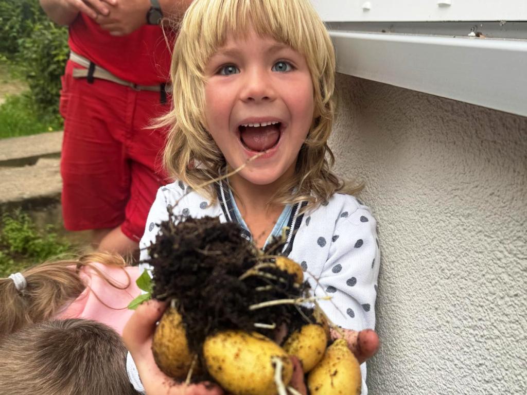 Ein fröhliches Kind hält frisch geerntete Kartoffeln in den Händen.