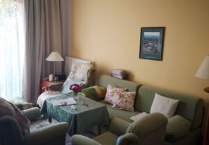 Wohnzimmer mit grünen Möbeln und Tisch