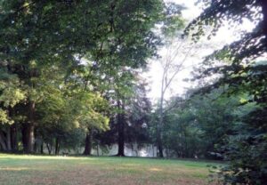 Ein sonniger Park mit Bäumen und Grasfläche