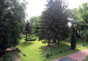 Ein gepflegter grüner Park mit hohen Bäumen und Rasenfläche.