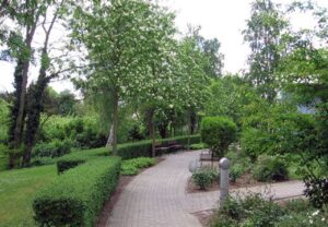 Grüner Parkweg mit Bänken