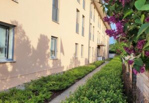 Ansicht eines hellen Gebäudes mit Fenstern, umgeben von üppigen grünen Büschen und violetten Blüten auf der rechten Seite.