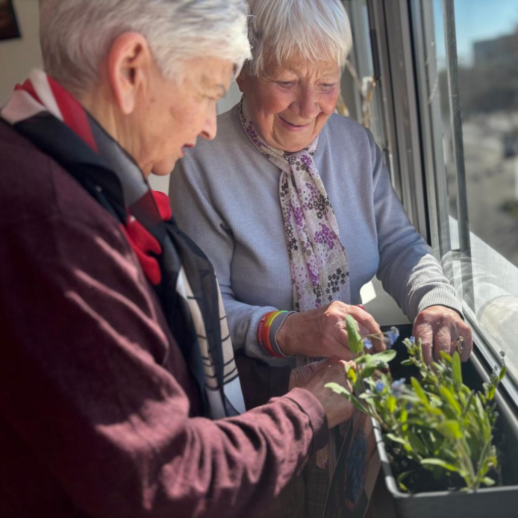 Tagespflege Am Dreescher Markt