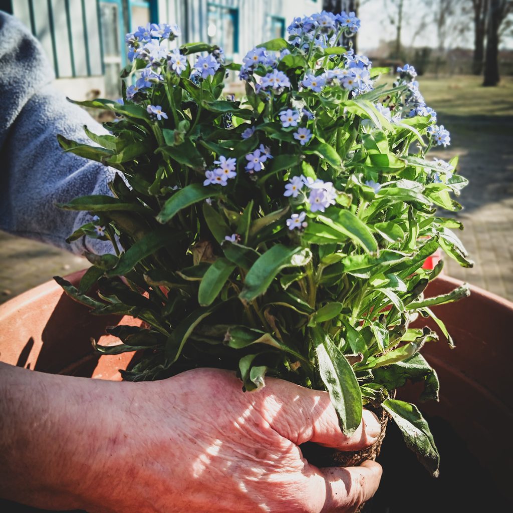 Seniorenhaus Schelfwerder