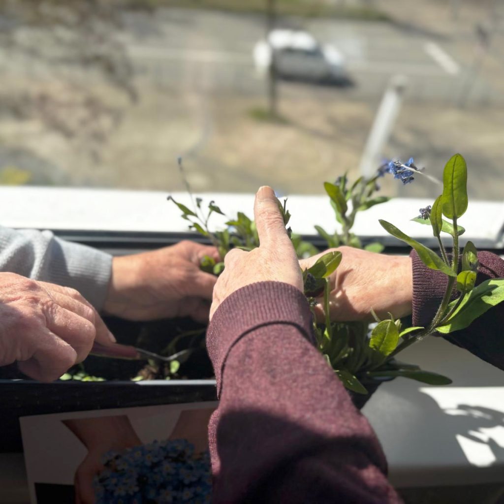 Tagespflege Am Dreescher Markt
