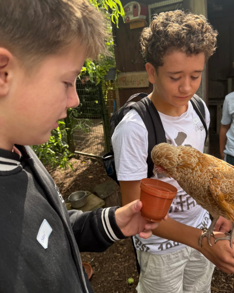 Zwei Jungen füttern ein Huhn