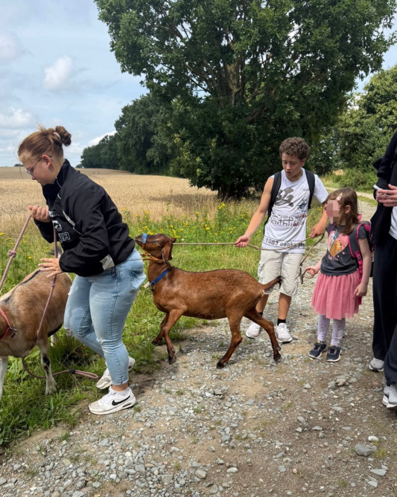 Gruppe von Menschen mit Ziegen bei einem Spaziergang auf einem Feldweg