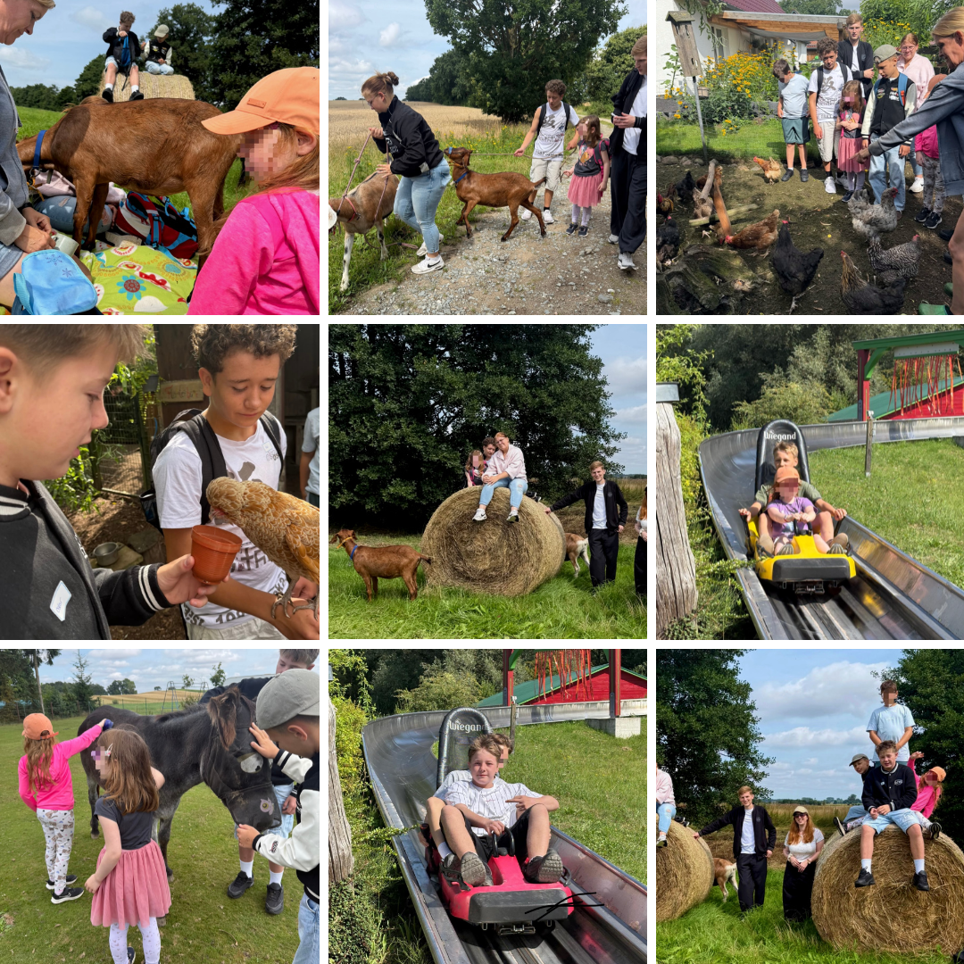Collage von Bildern mit Kindern und Erwachsenen, die an verschiedenen Outdoor-Aktivitäten teilnehmen